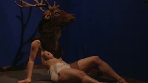 Festival Malá inventura