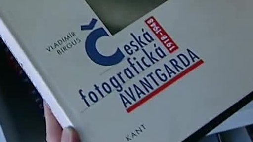 Novinky v galeriích: Vladimír Birgus