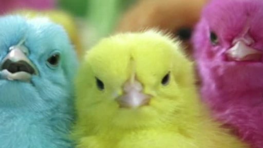 Velikonoční zajímavosti