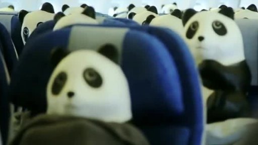 Pandy na letišti