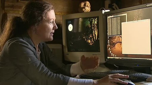 Čísla a rovnice jako základ malování?