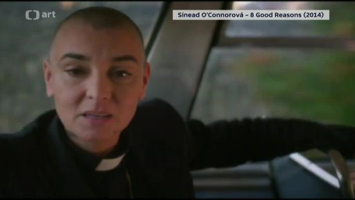 Sinéad O'Connor v Sinn Féin