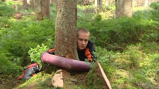 Kácení na Šumavě bylo nezákonné a blokády oprávněné