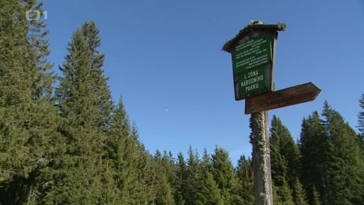 Stínová vědecká rada Národního parku Šumava kritizuje návrh plánu péče