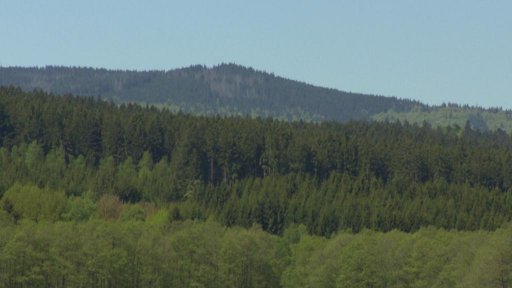 Šumava potřebuje vlastní zákon