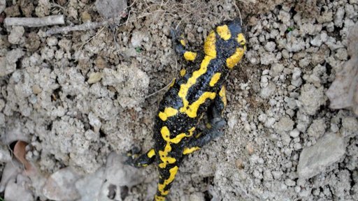 Obyvatelé Lubence na Podbořansku se brání průzkumu lokality Čertovka