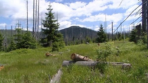 Šumavský a bavorský park budou spolupracovat
