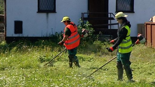 Živý vstup k obecním volbám v Karlovarském kraji