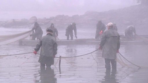 Hnačov se lovit nebude