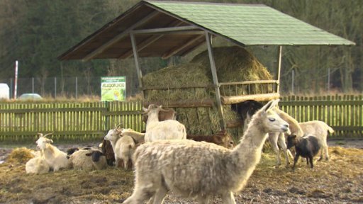 Nejmladší ZOO po čtyřech letech končí