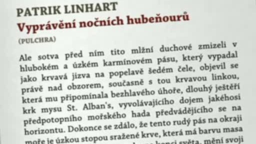 Tlusté a hubené I.