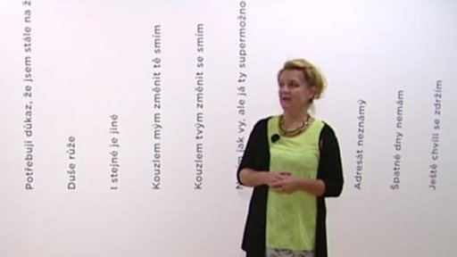 Výstava Mileny Dopitové