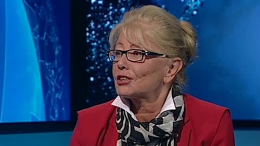 Sametová revoluce pohledem z Německa