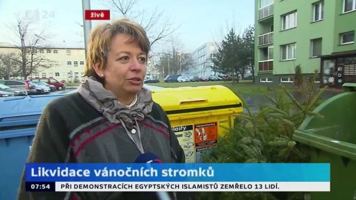 Likvidace vánočních stromků