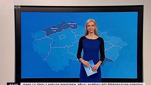 Zpravodajský servis