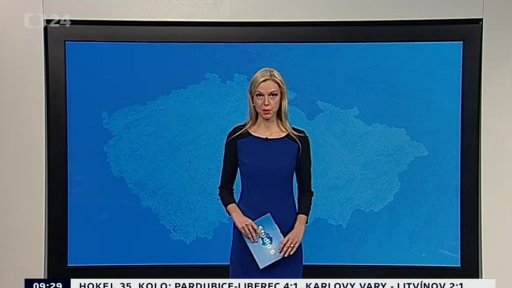 Zpravodajský servis