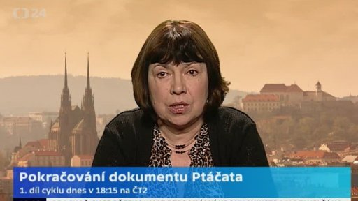 Pokračování dokumentu Ptáčata