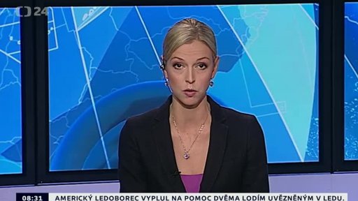 Zpravodajský servis