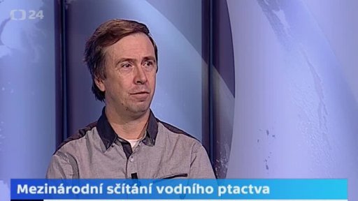 Mezinárodní sčítání vodního ptactva