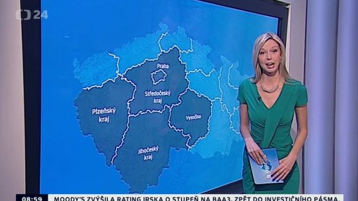 Zpravodajský servis