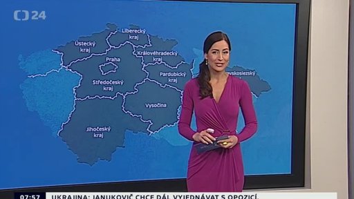 Zpravodajský servis