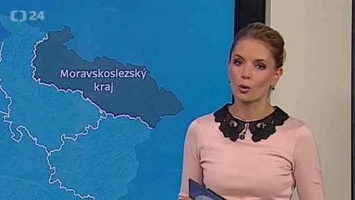 Zpravodajský servis