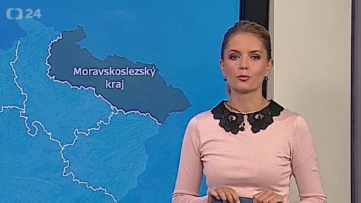 Zpravodajský servis