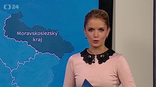 Zpravodajský servis