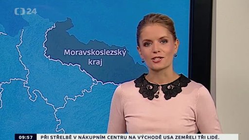 Zpravodajský servis