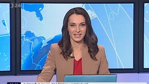 Zpravodajský servis