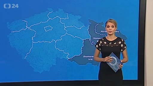 Zpravodajský servis