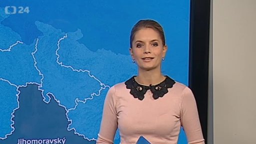 Zpravodajský servis