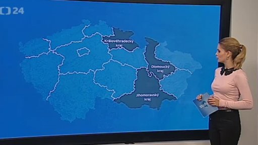 Zpravodajský servis