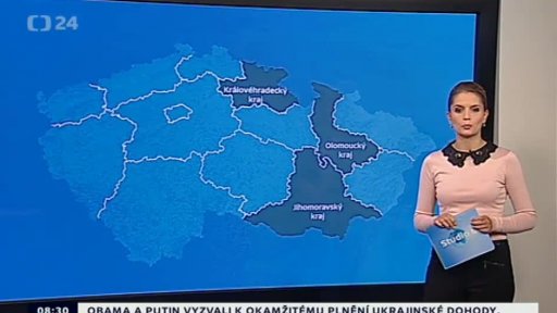 Zpravodajský servis