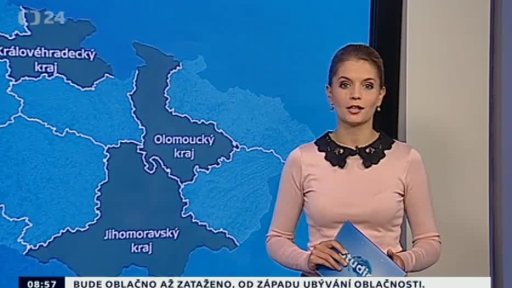 Zpravodajský servis