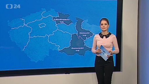 Zpravodajský servis