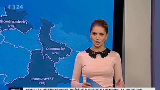 Zpravodajský servis