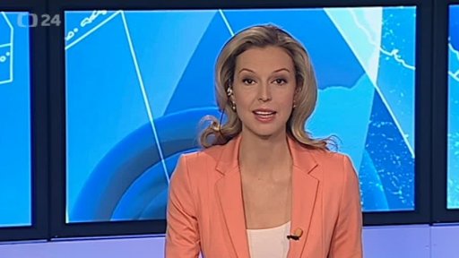 Zpravodajský servis