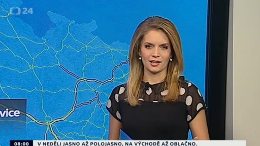 Zpravodajský servis