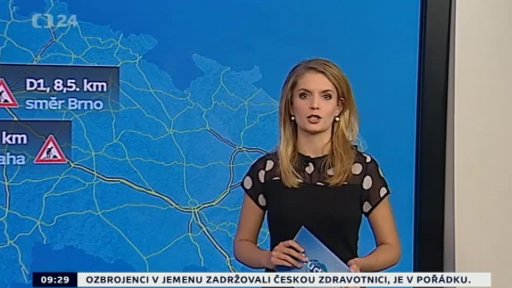 Zpravodajský servis