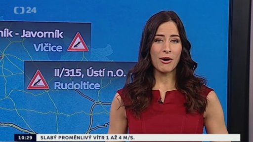 Zpravodajský servis