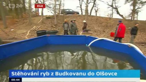 Stěhování ryb z Budkovanu do Olšovce