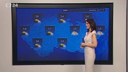 Zpravodajský servis