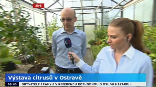 Výstava citrusů v Ostravě