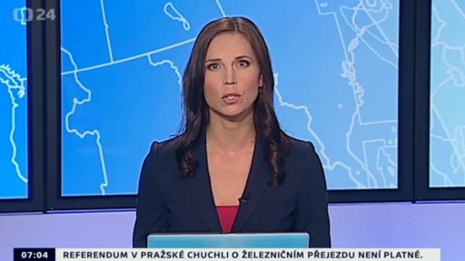 Zpravodajský servis