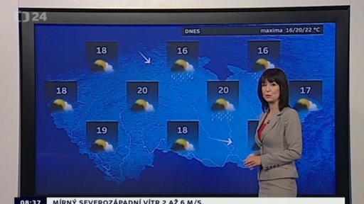 Zpravodajský servis