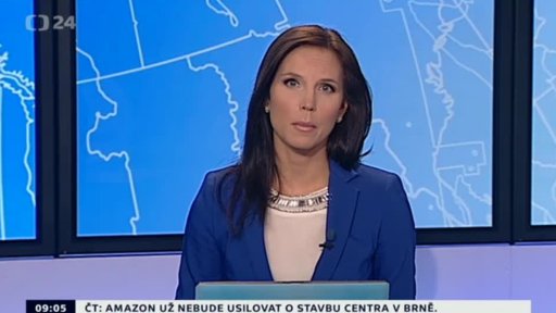 Zpravodajský servis