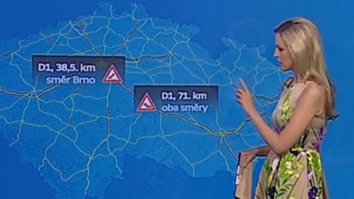 Zpravodajský servis