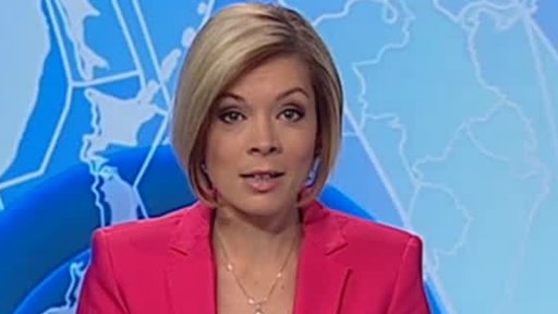 Zpravodajský servis