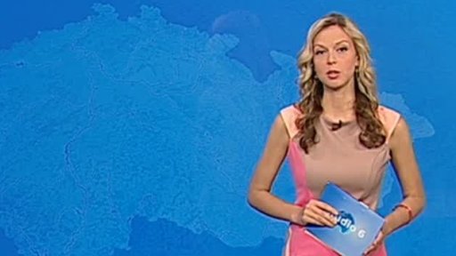 Zpravodajský servis